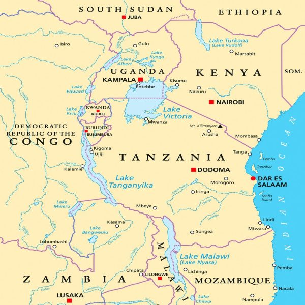 African Great Lakes. Political map with capitals, borders, important cities, rivers and lakes. Lake Victoria, Tanganyika, Malawi, Turkana und the smaller ones. English labeling. Illustration. Vector.